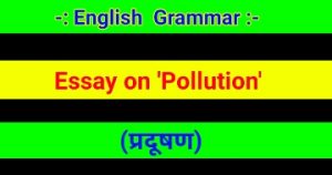 Essay on Pollution 