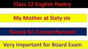 Stanza for comprehension of the poem 'My Mother at Sixty six' 