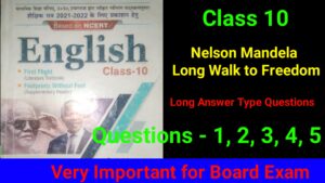 Nelson Mandela Long Question Answer 